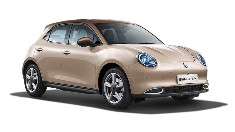 Hazel Wood Beige with Brown Roof